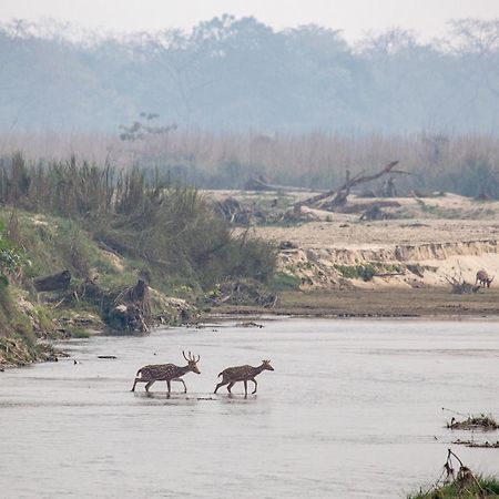 Sanctuary Chitwan National Park Esterno foto