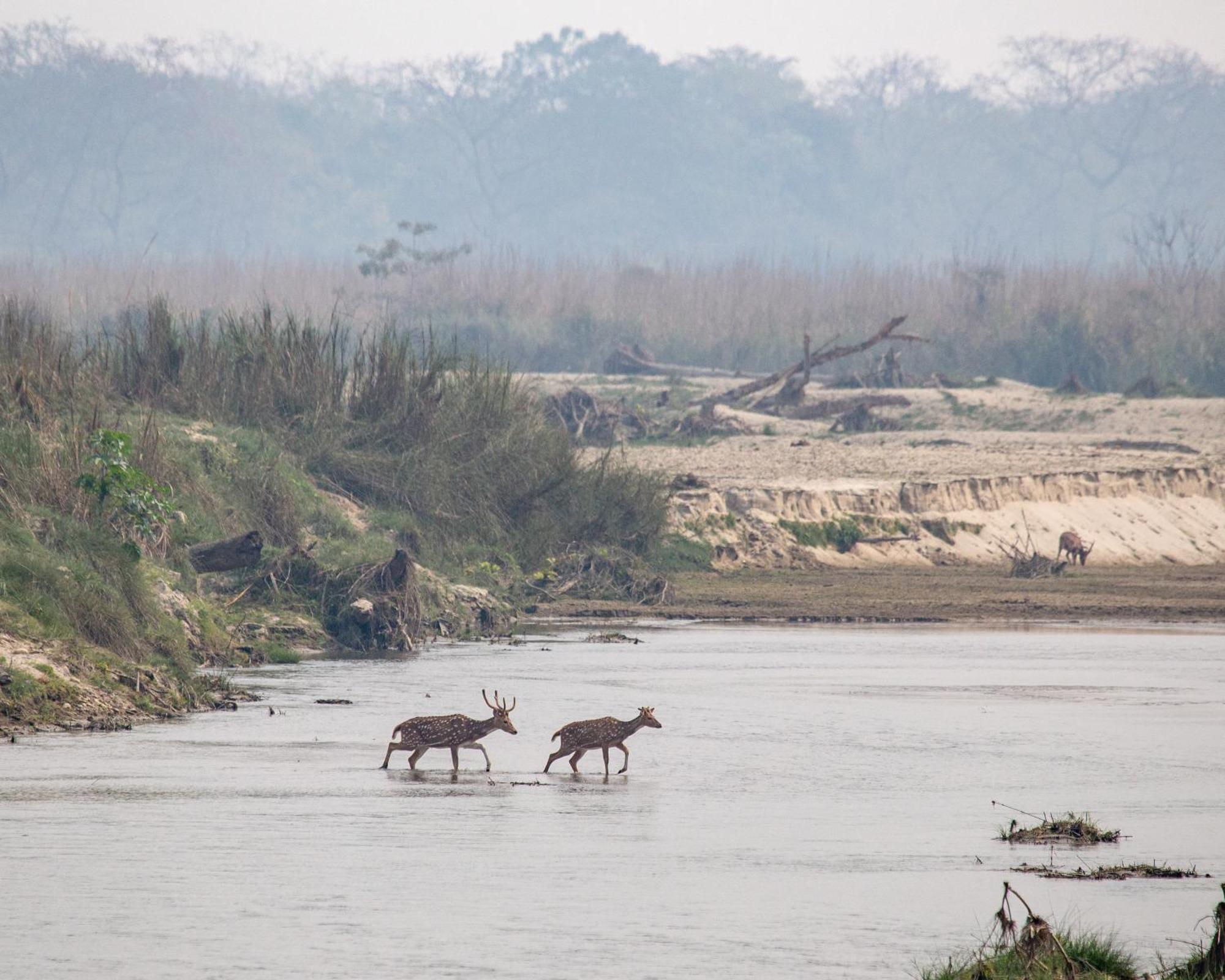 Sanctuary Chitwan National Park Esterno foto