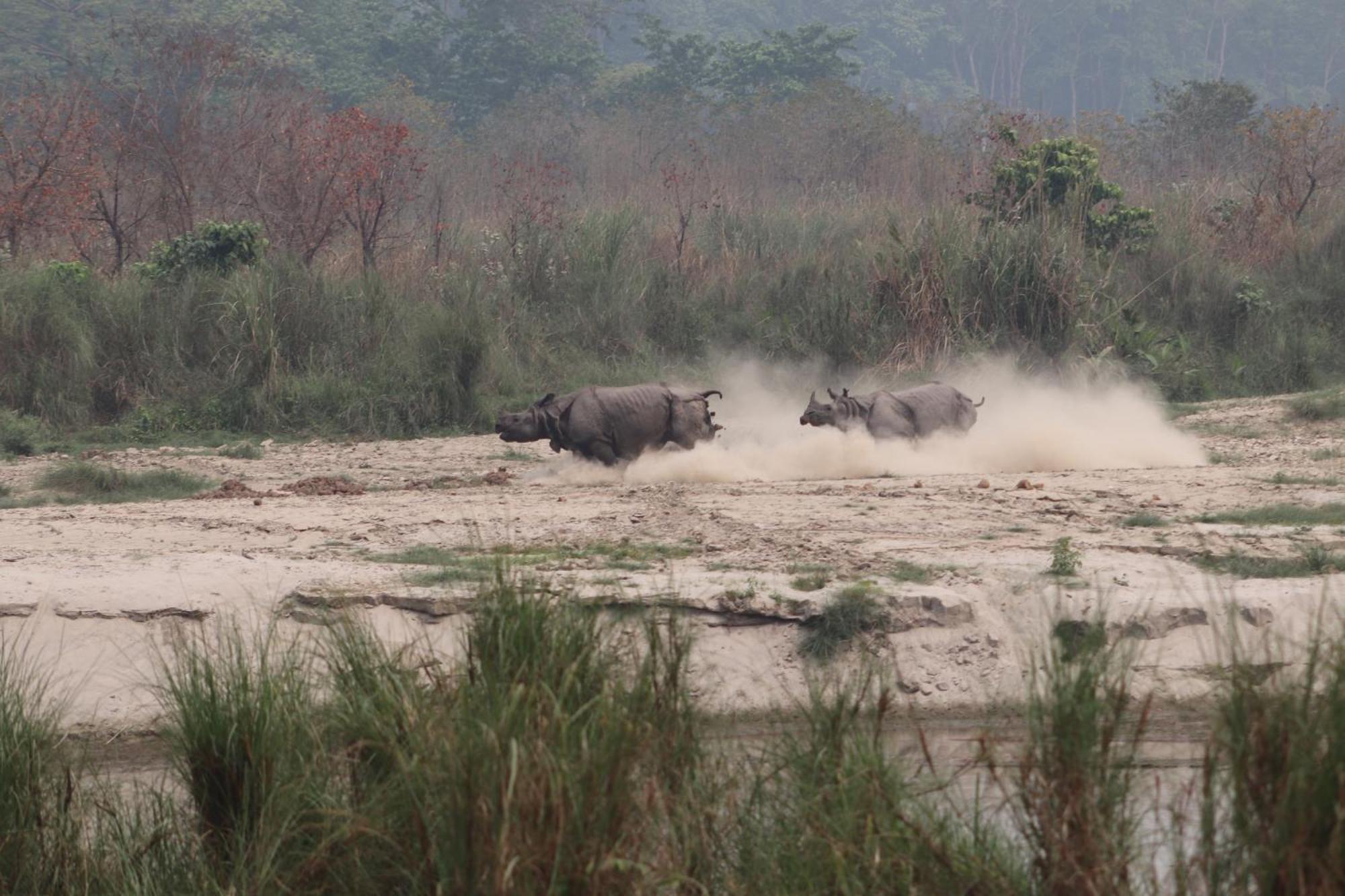 Hotel Sanctuary Chitwan National Park Esterno foto