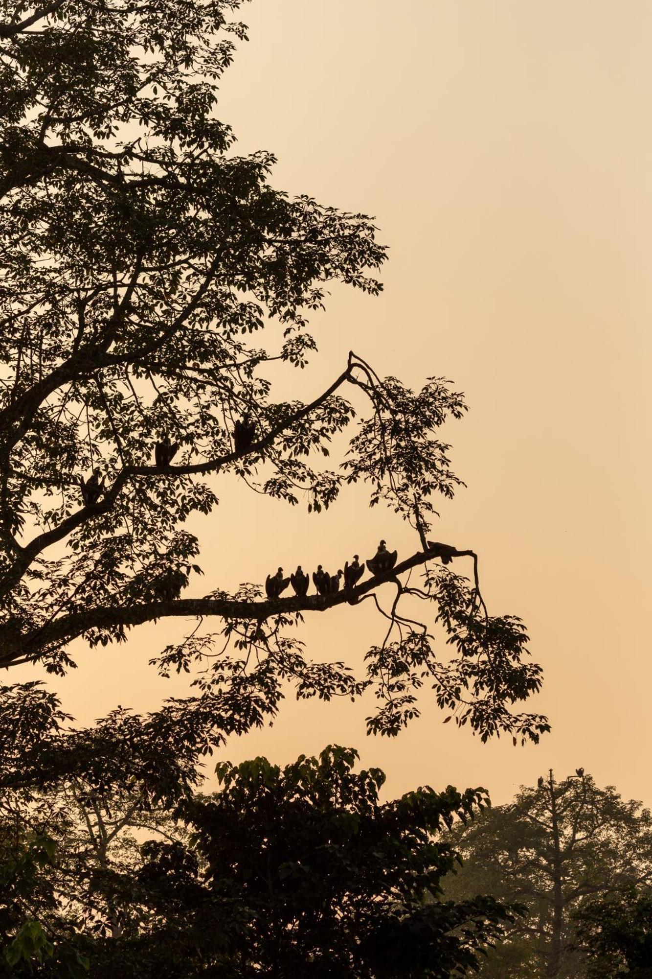 Sanctuary Chitwan National Park Esterno foto